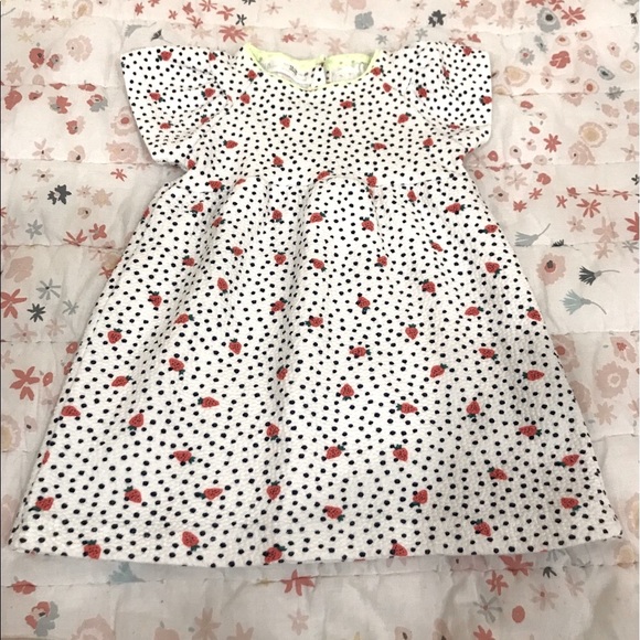 Zara Other - Zara strawberries and polka dots dress